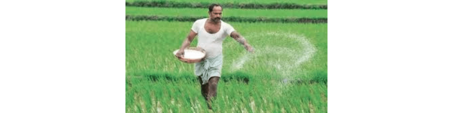 हॉर्मुज़ की हलचल से खेतों तक पहुंचा संकट. उर्वरक निर्भरता पर बड़ा सवाल