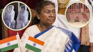 राष्ट्रपति मुर्मू के दौरे पर बंदरों से सुरक्षा के लिए वन विभाग अलर्ट, चश्मा बचाने को तैनात होंगे गुलेल और लाठीधारी कर्मचारी
